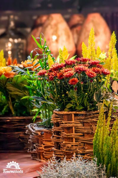 Composition de décorations automnales avec courges, feuilles d'érable et bougies pour une ambiance chaleureuse